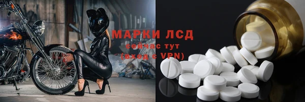 ГАЛЛЮЦИНОГЕННЫЕ ГРИБЫ Баксан