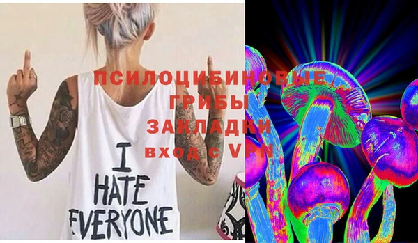 ГАЛЛЮЦИНОГЕННЫЕ ГРИБЫ Баксан