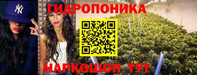 дмт Новокубанск