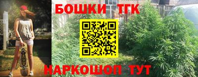 дмт Новокубанск